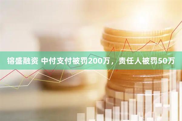 镕盛融资 中付支付被罚200万，责任人被罚50万