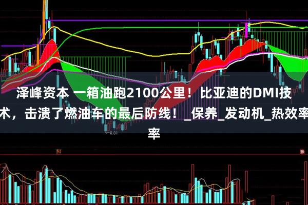 泽峰资本 一箱油跑2100公里！比亚迪的DMI技术，击溃了燃油车的最后防线！_保养_发动机_热效率
