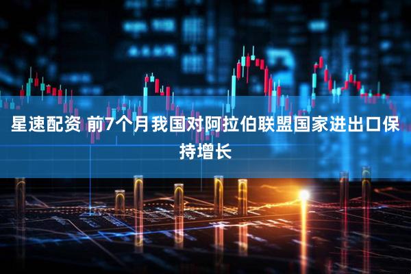 星速配资 前7个月我国对阿拉伯联盟国家进出口保持增长