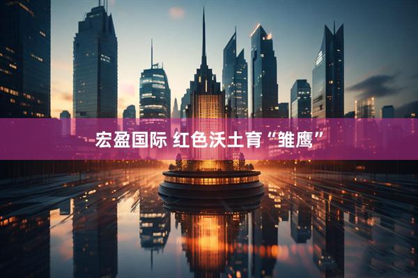宏盈国际 红色沃土育“雏鹰”