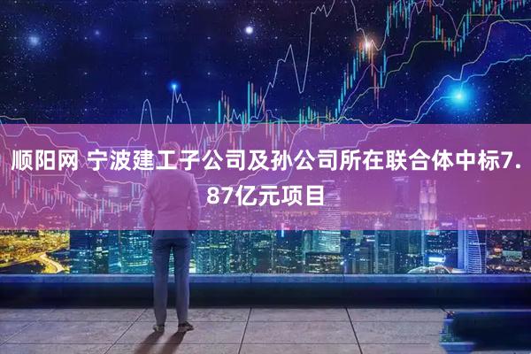 顺阳网 宁波建工子公司及孙公司所在联合体中标7.87亿元项目